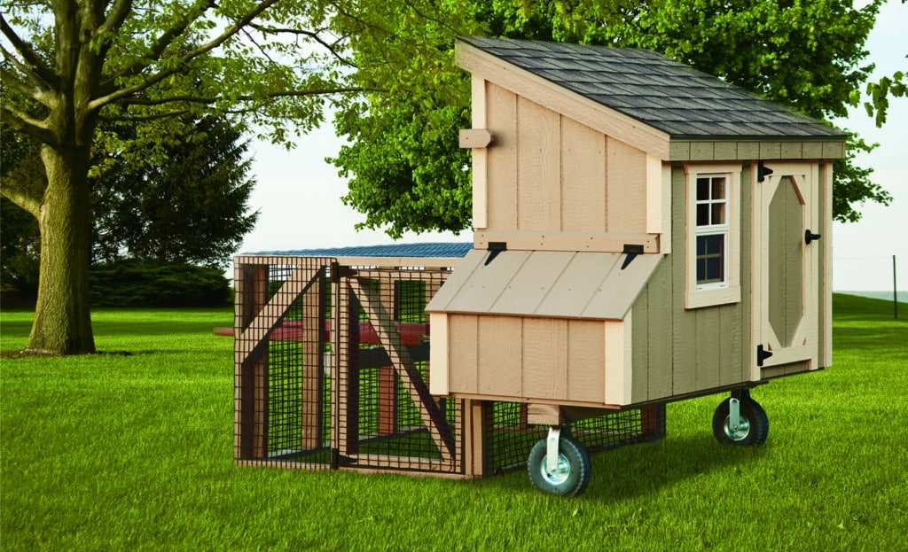 3x5 Chicken Tractor For The Backyard