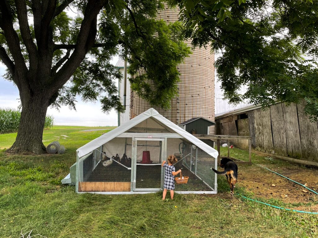 Our Mobile Chicken Coop Tractor - Artful Homemaking