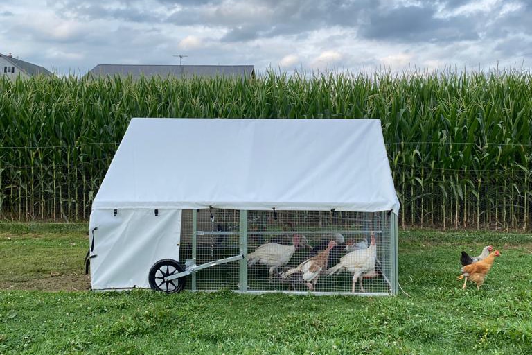 Moveable turkey coops Louisiana