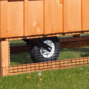 3x4 Stained Chicken Tractor