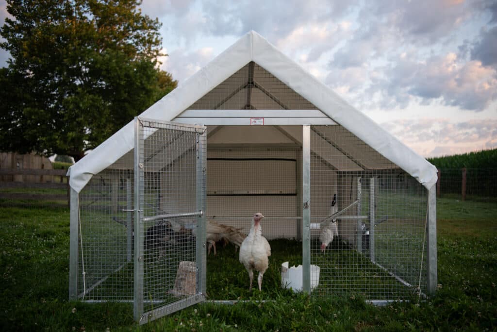 Our Mobile Chicken Coop Tractor - Artful Homemaking