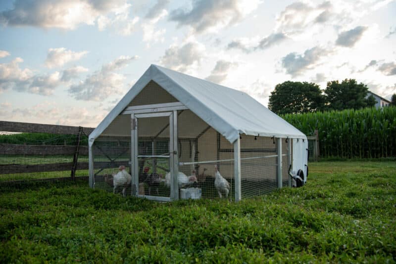 8x10 portable coop