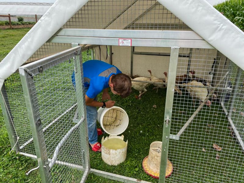 Mobile Turkey coops for sale in Louisiana