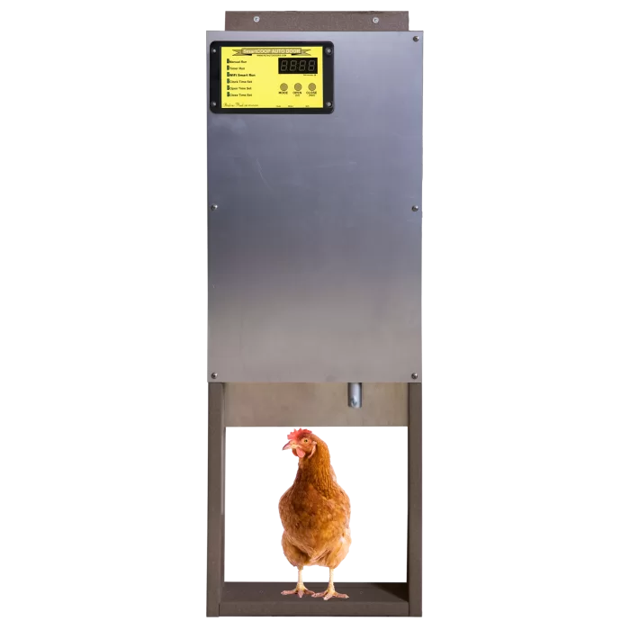 auto chicken doors