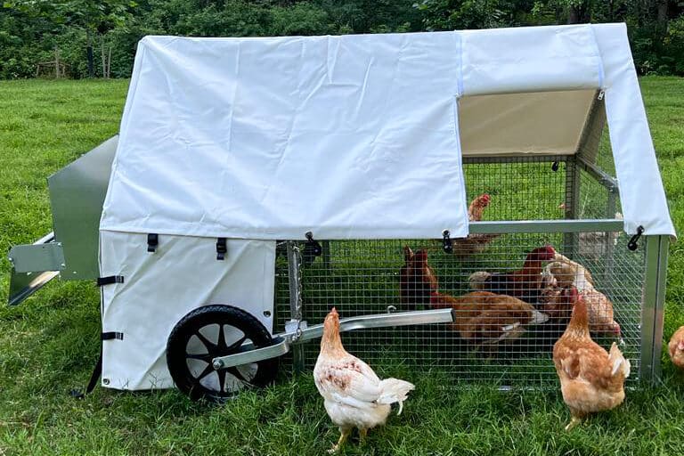 Mobile Coops For Turkeys