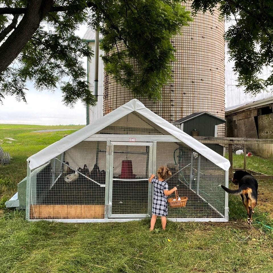 Mobile Duck Coop A Safe And Spacious Home For Your Flock