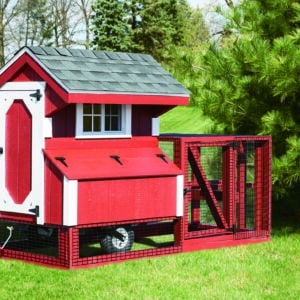 Painted Chicken Tractor in Texas