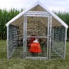 5x10 chicken tractor