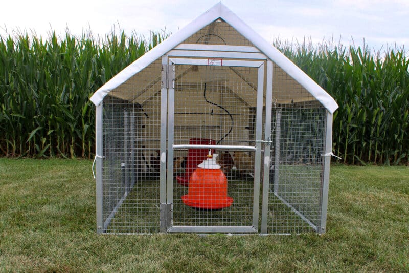 5x10 chicken tractor