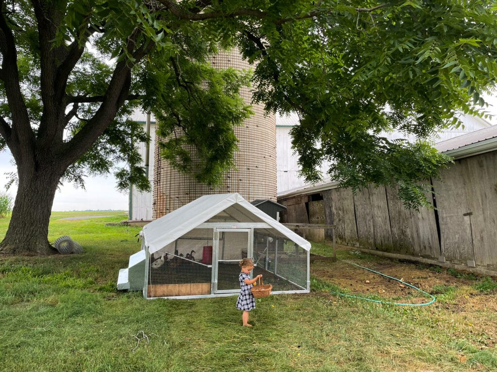 easy to move and clean duck coop