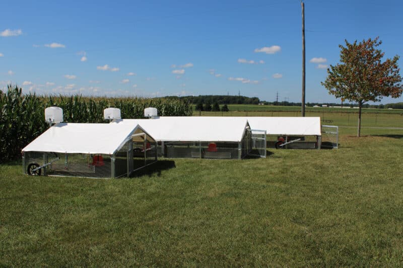 mobile coops for 40 to 100 hens