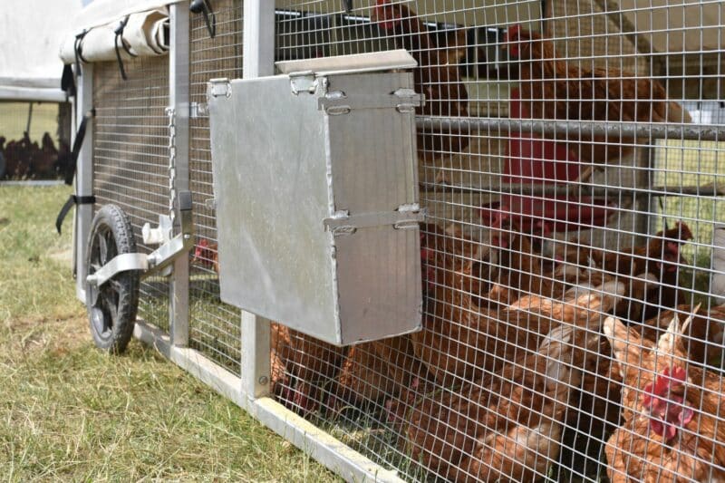 happy farmer small feeder