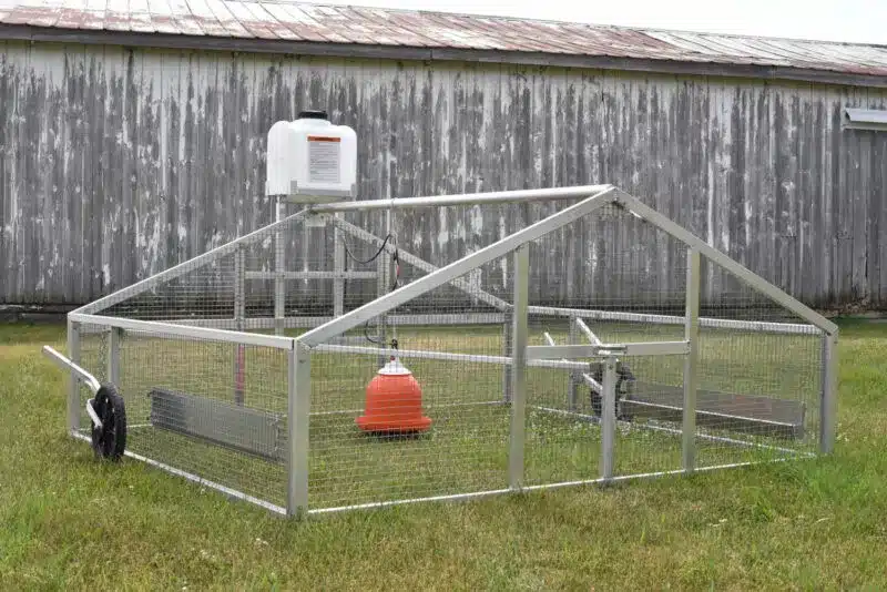 Metal coop for 50 birds