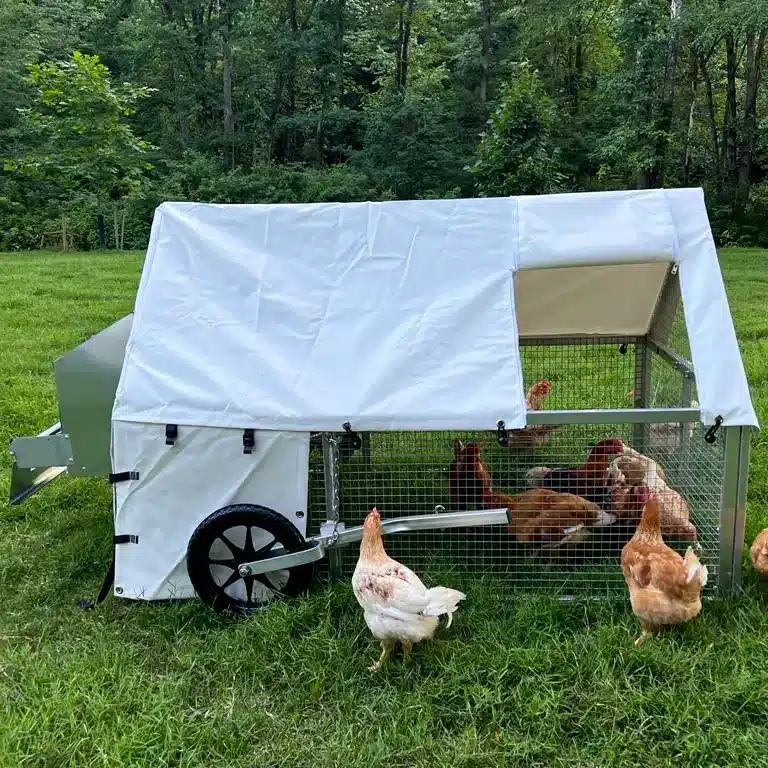 chicken coop for 10 chickens