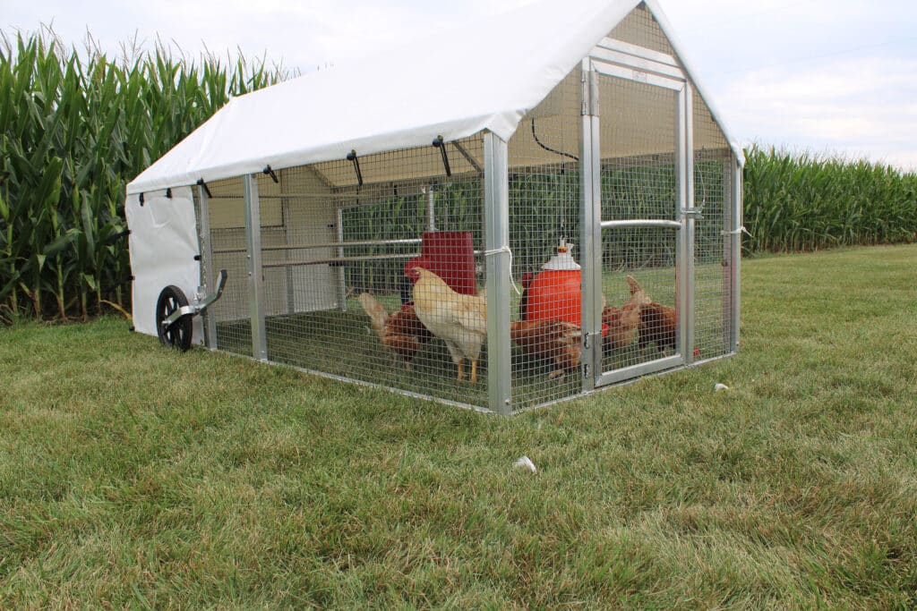 Mobile Coops 100 chickens