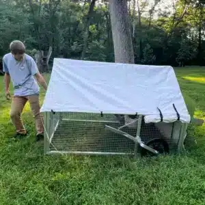 man moving coop for 10 chickens edited