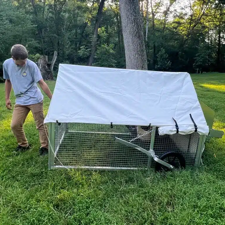 chicken coop for 10 chickens