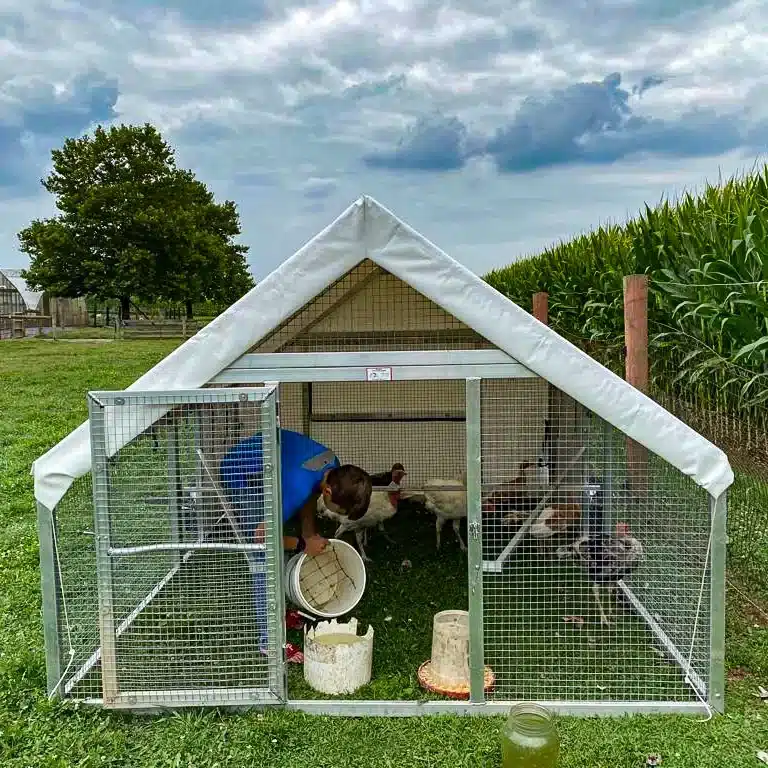 mobile chicken coop for 80 chickens