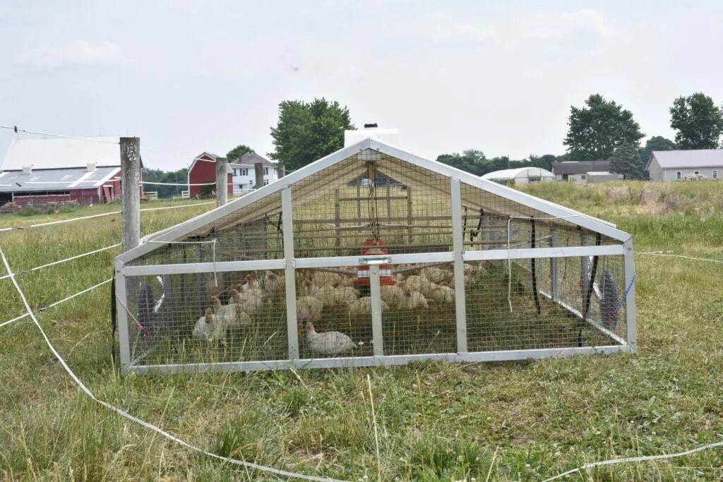 Mobile Broiler Chicken Coops For Sale In Pa 1024x683