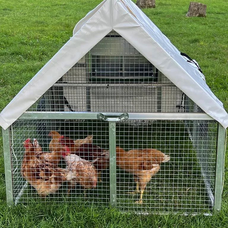 inside mobile chicken coop