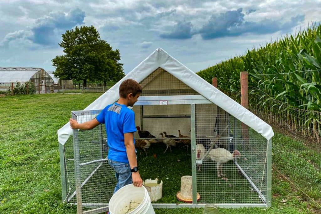 Mobile Turkey Coops For Sale In New Mexico