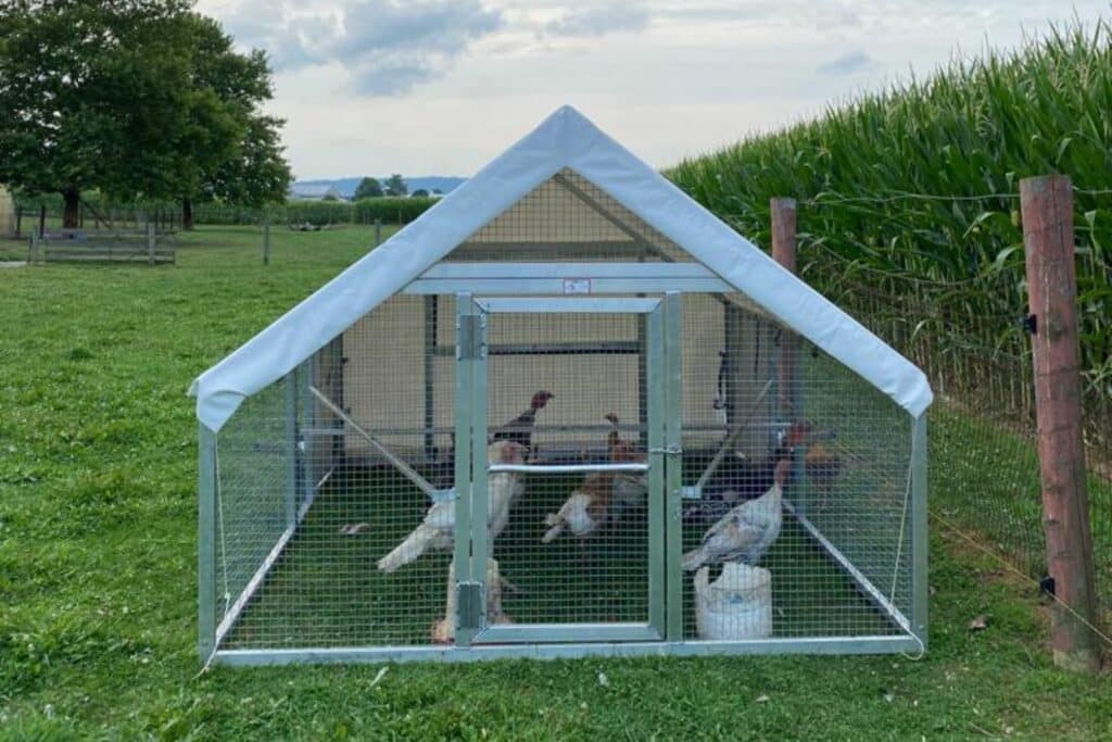 Turkey Coops In New Mexico