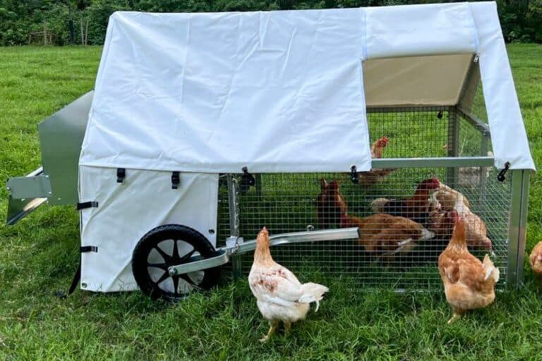 Aluminum Chicken Coops For Sale