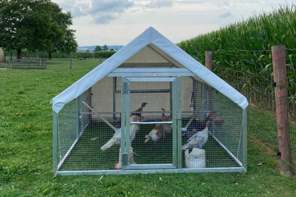 Commercial Aluminum Chicken House