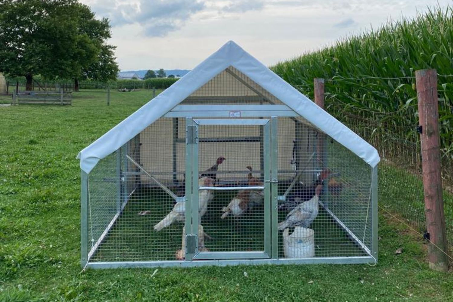 Commercial Aluminum Chicken House 