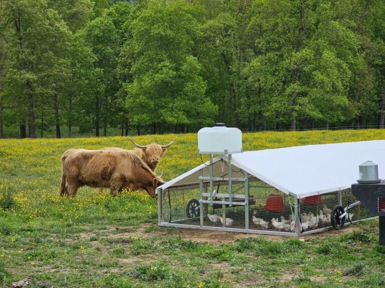 Happy Farmer Large Coop