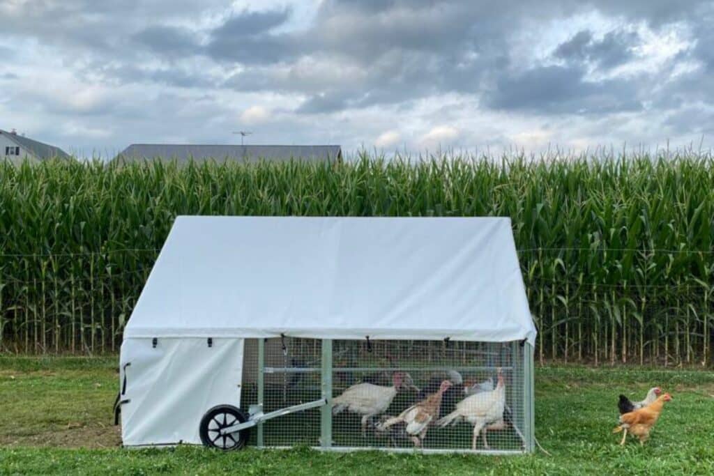 Mobile Coops For Sale Nationwide