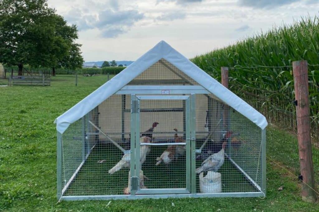 Mobile Turkey Coops For Sale