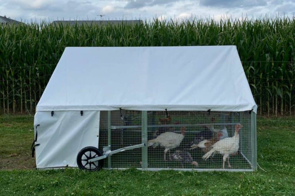 8x10 Mobile Chicken Coop In Arizona