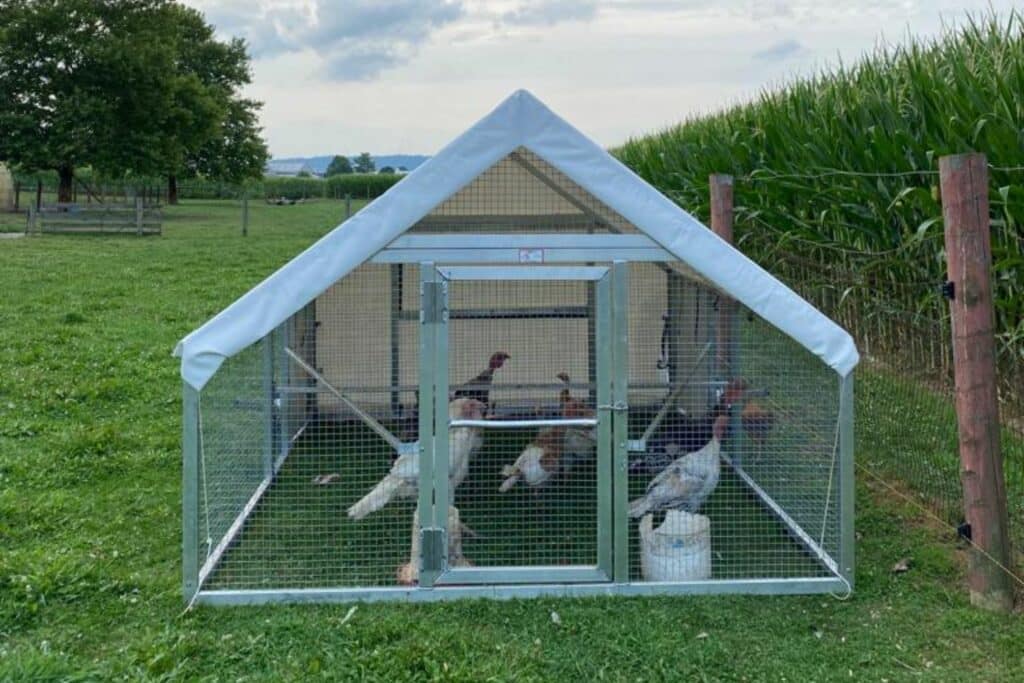 8x12 Mobile Chicken Coop In Arizona