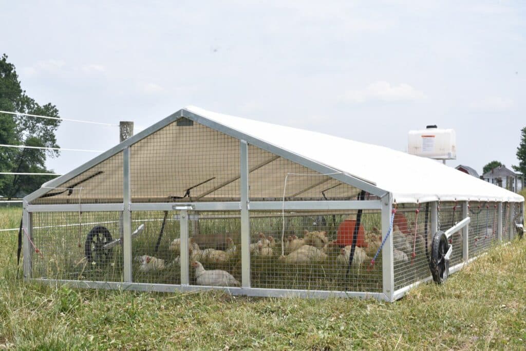 Broiler Chicken Mobile Coops In Kentucky