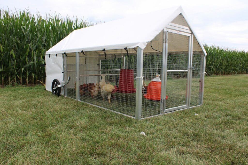 Medium Chicken Mobile Coops In New York