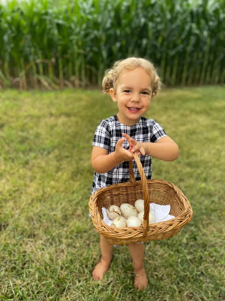 Eggs From Duck And Chicken Coop In Arizona