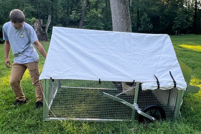 Moveable Chicken Coops In Arizona