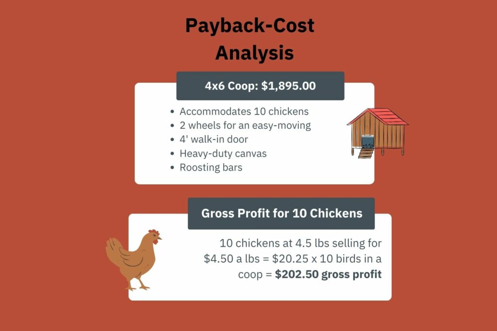 4x6 Aluminum Chicken Coop Cost Benefit Analysis Pt 1