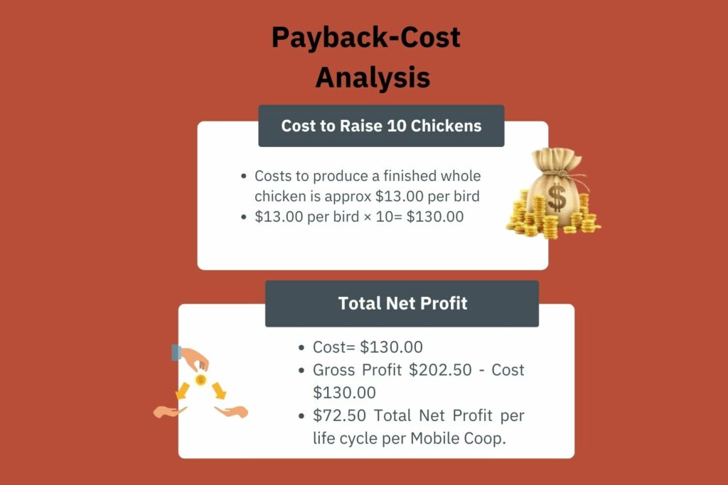 4x6 Aluminum Chicken Coop Cost Benefit Analysis Pt 2