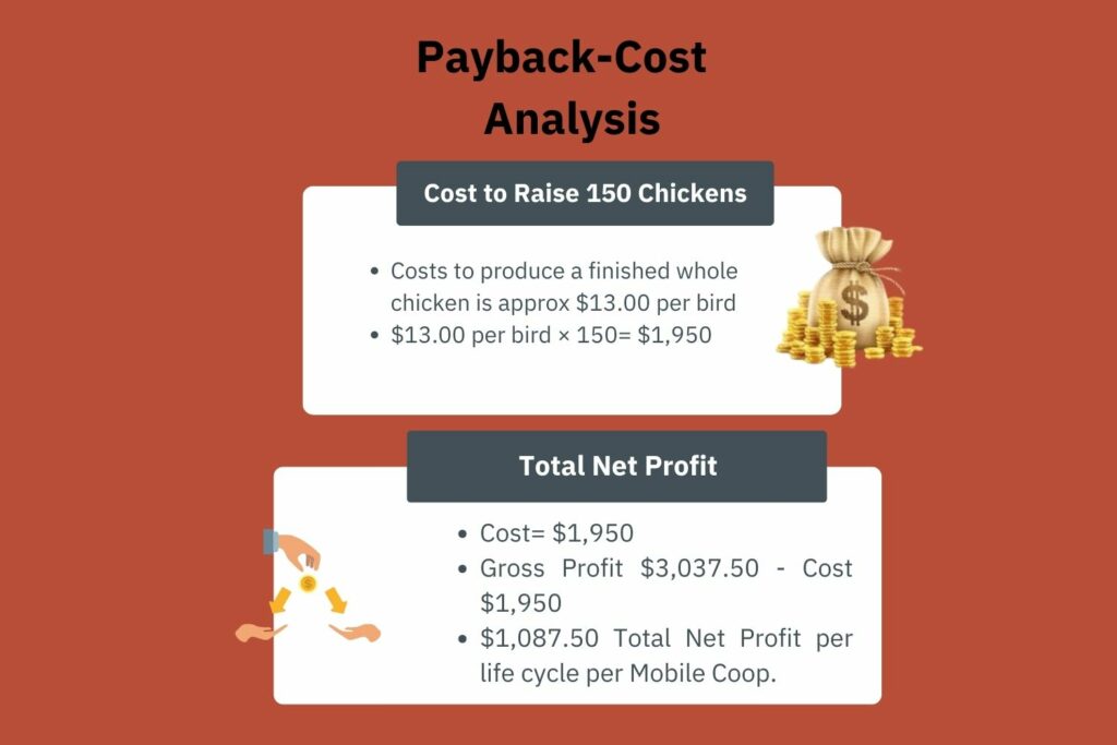 9x24 Aluminum Chicken Coop Cost Benefit Analysis Pt 2