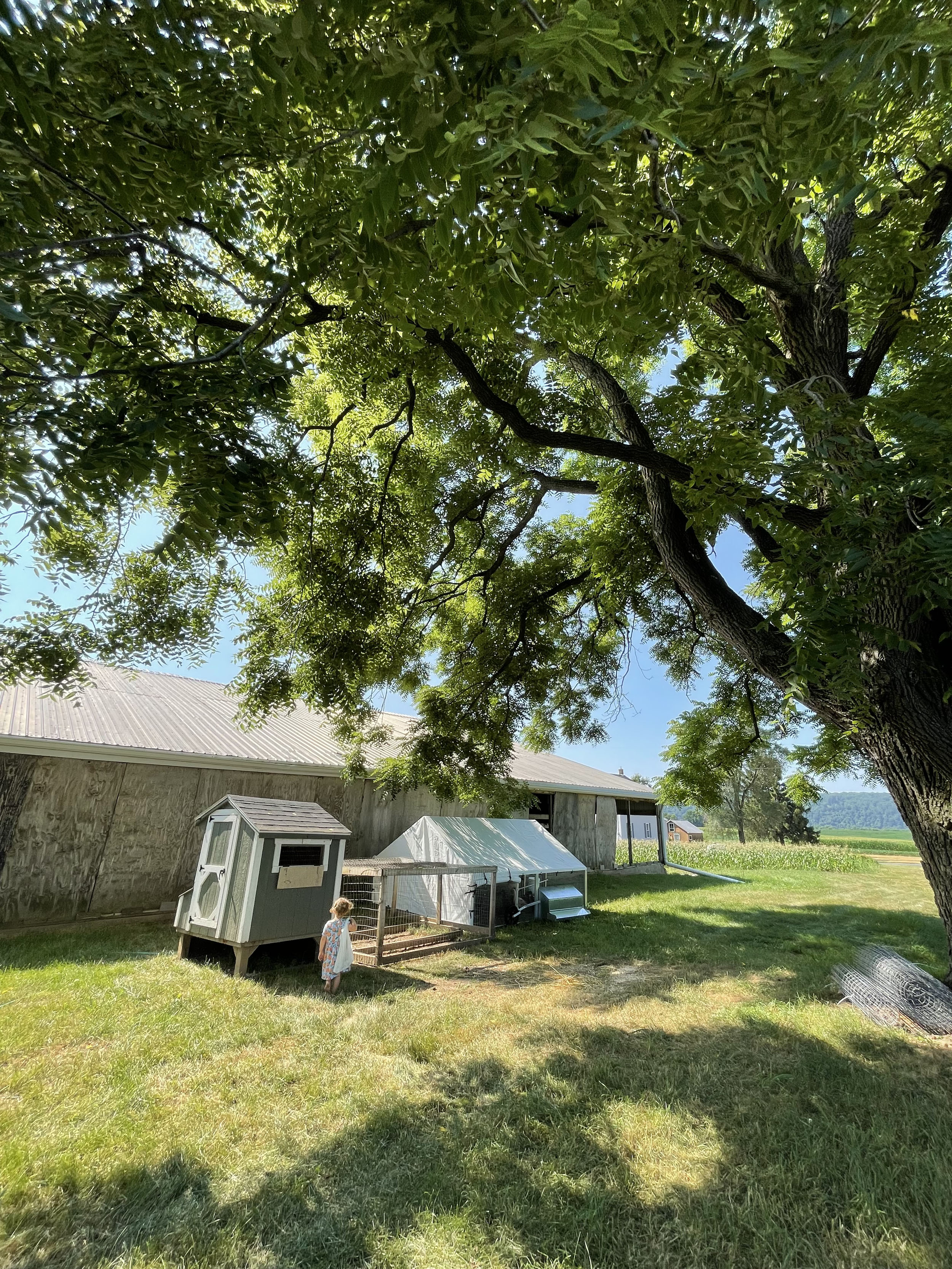 10x12 duck coop for sale