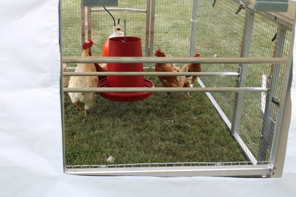 A Frame Mobile Chicken Coops With Feeder