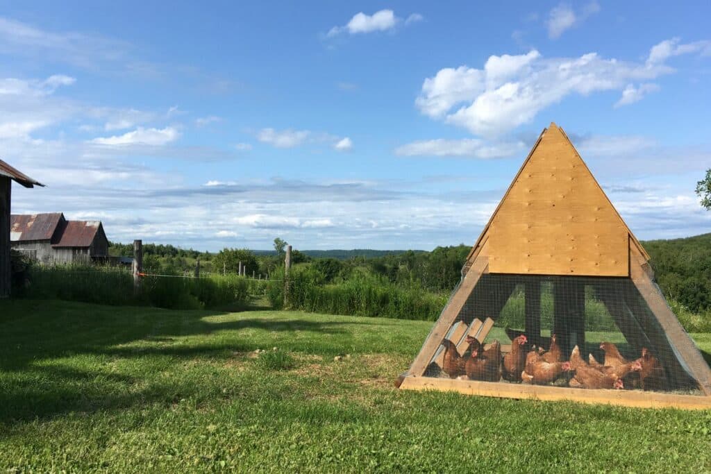 Build An A Frame Mobile Chicken Coops