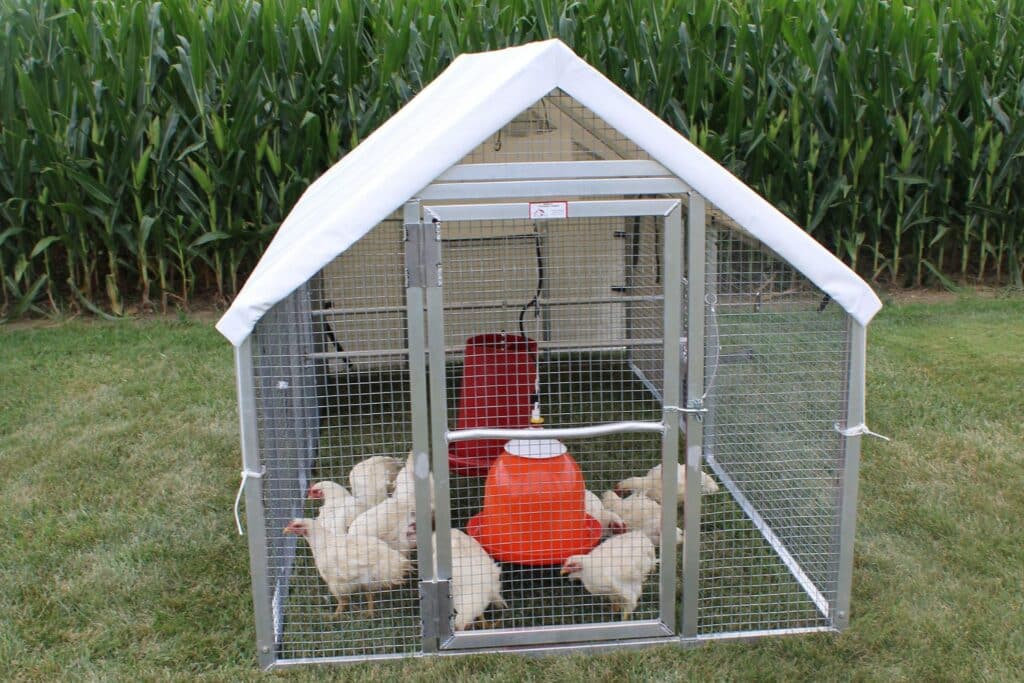 Drawbacks Of A Frame Mobile Chicken Coops