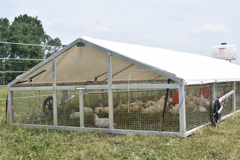 A Frame Mobile Chicken Coops With Roosts