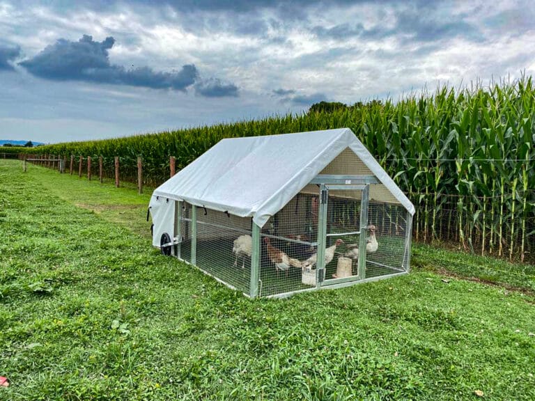 Lightweight Turkey Coop For Sale In PA