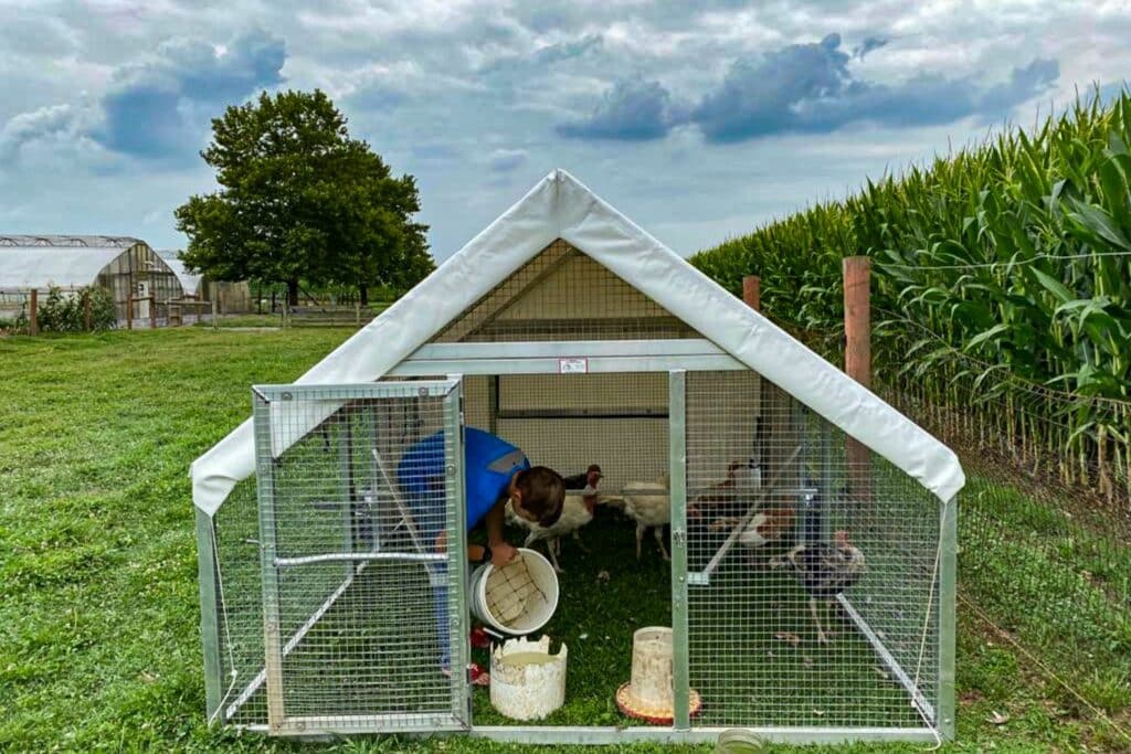 What Are A Frame Mobile Chicken Coops