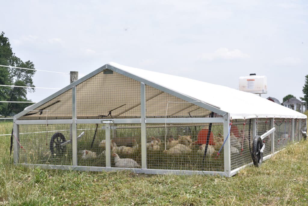 Large Broiler Mobile Coop For Sale In Georgia