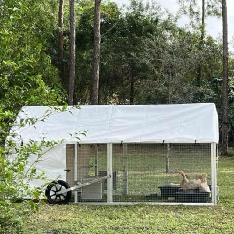 5x10 Mobile Coop In West Palm Beach FL